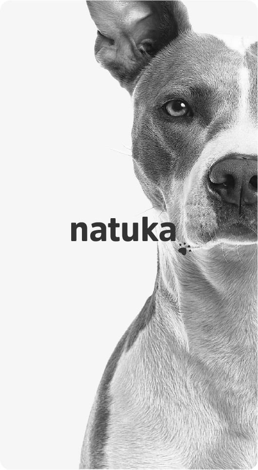 Natuka caso de estudio de andre design marketing agencia digital en bogota